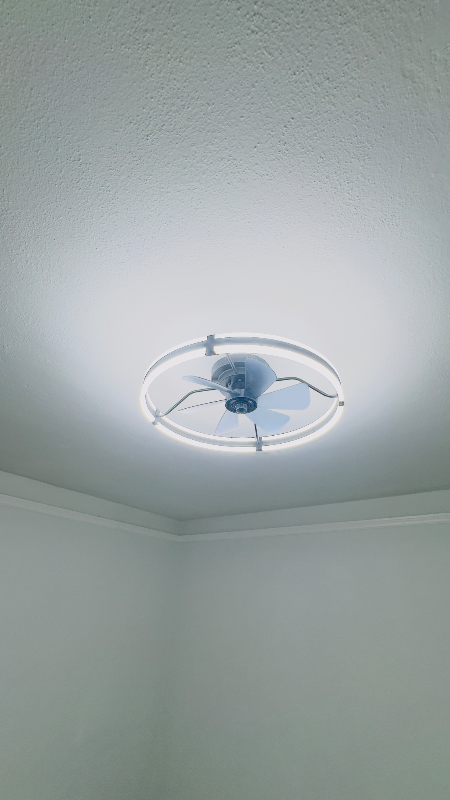 1243 Florida Street #B - Photo 4 of 16