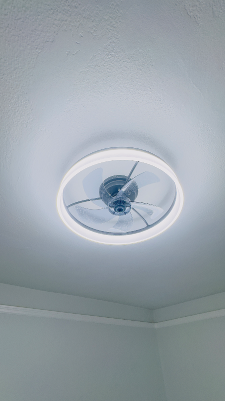 1243 Florida Street #B - Photo 7 of 16