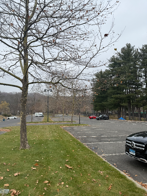 322 Park Street #1E - Photo 7 of 8