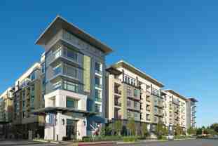 Radius - Photo 1 of 1