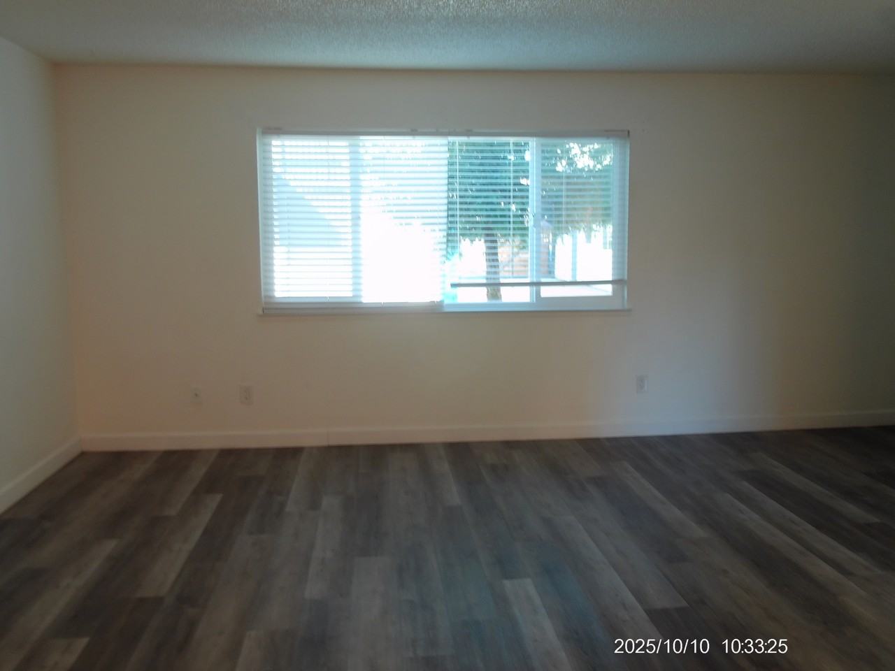 1171 Kenny Drive - Photo 5 of 19