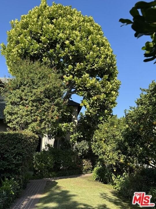 7917 Norton Avenue - Photo 2 of 21