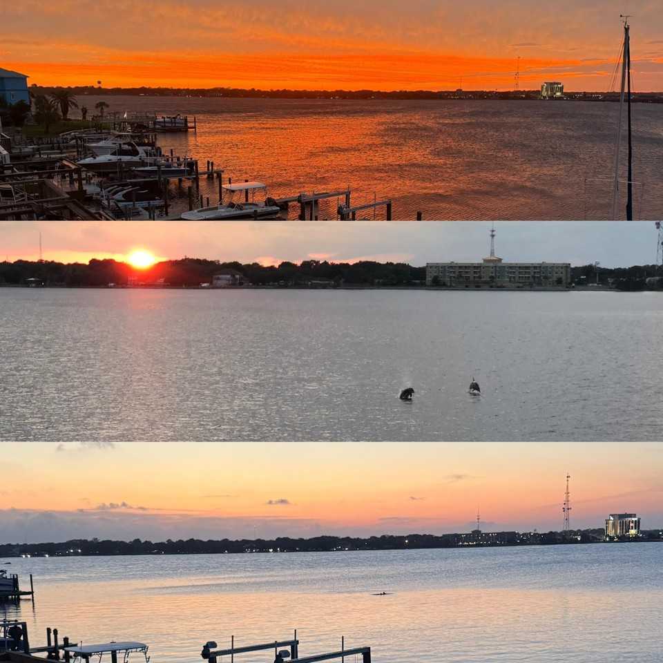 202 Snug Harbour Dr Unit 202 #202 - Photo 3 of 50