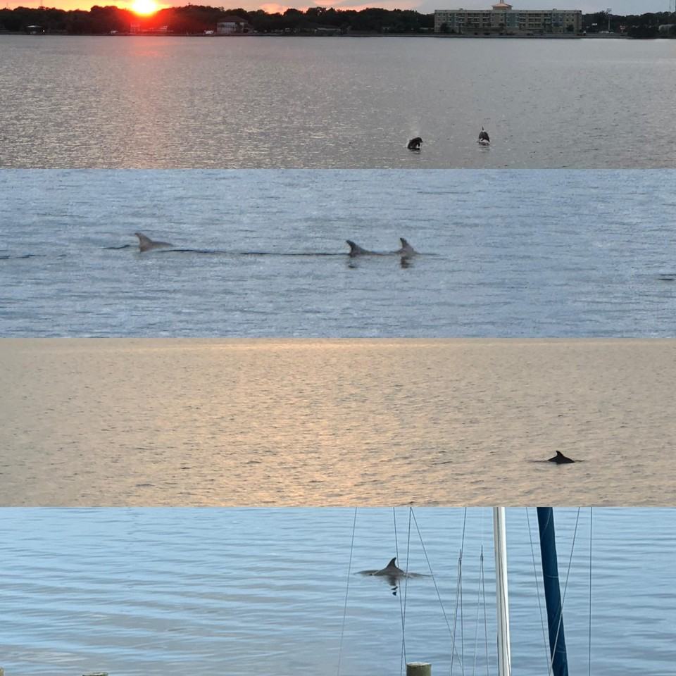 202 Snug Harbour Dr Unit 202 #202 - Photo 4 of 50