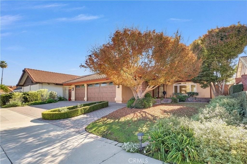 9862 Dragon Circle - Photo 3 of 40