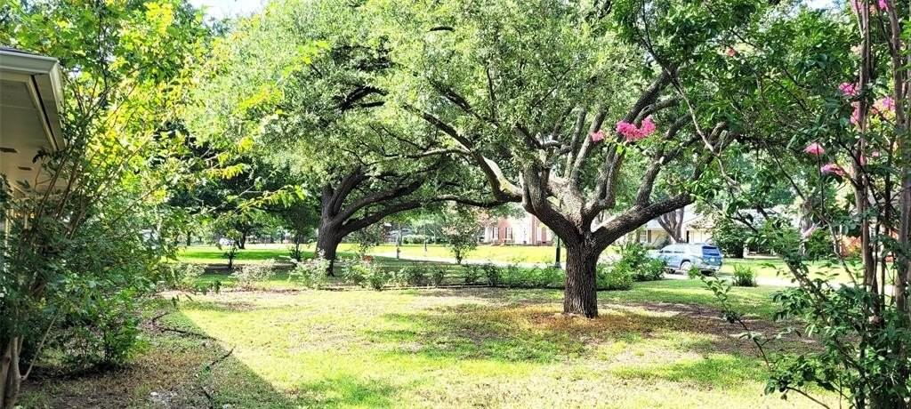 204 Overhill Drive - Photo 2 of 40