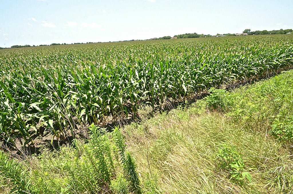 4307 Sunflower Creek Lane #1 - Photo 2 of 28