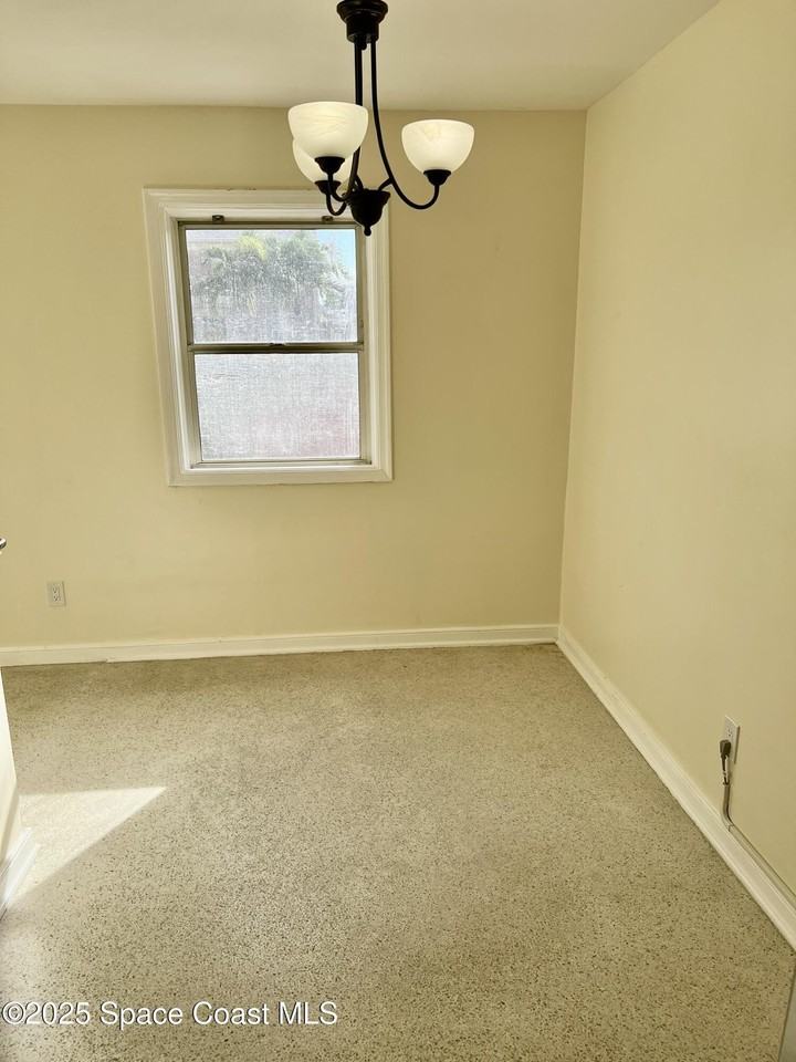 931 Palm Springs Blvd Apt B #B - Photo 4 of 16