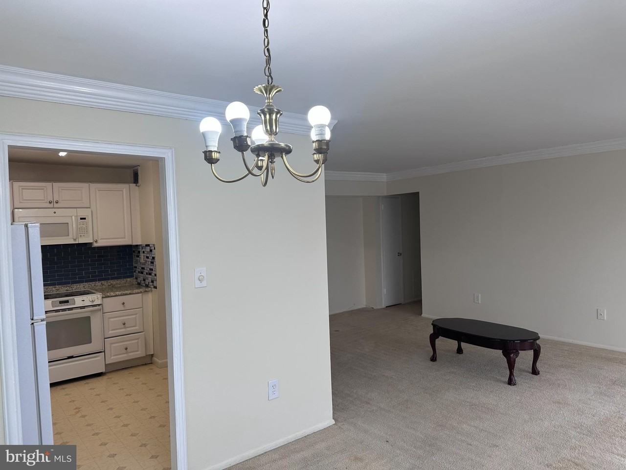 1111 W UNIVERSITY Boulevard W unit: 1406-A #1406A - Photo 6 of 14