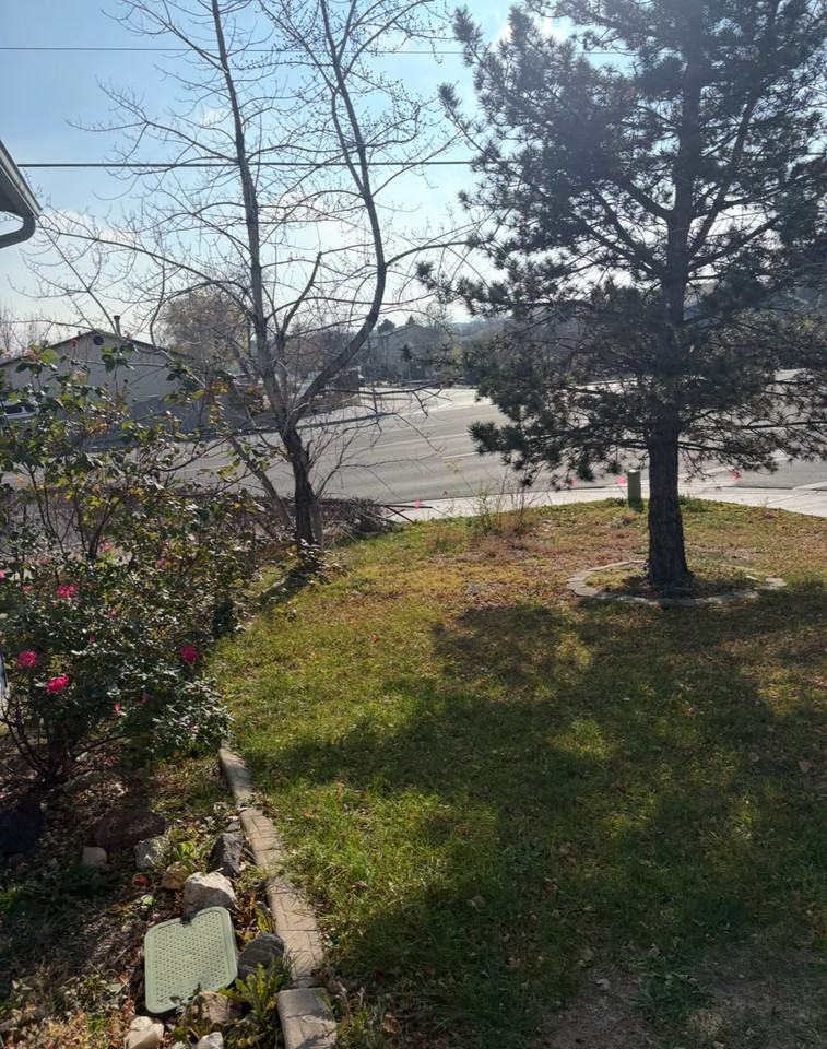 6189 Dewdrops Drive #1 - Photo 3 of 36