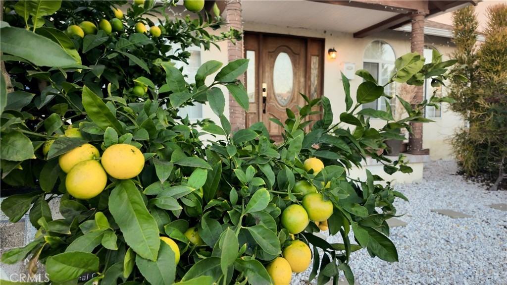 1907 Carmona Avenue #1907 - Photo 3 of 45