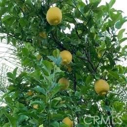 1320 Three Ranch Road #1320 - Photo 2 of 26