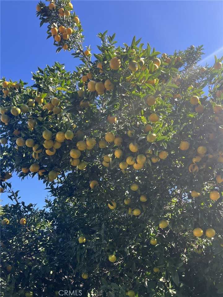 1320 Three Ranch Road #1320 - Photo 5 of 26