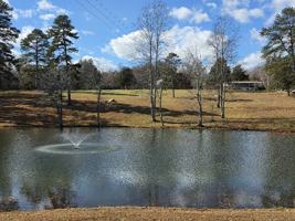 featured image of 57 Benchmark Drive