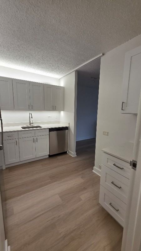 253 East Upper Wacker Drive - Photo 5 of 6