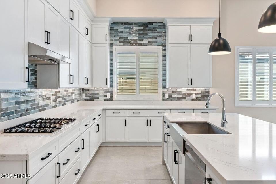 21387 West Meadowbrook Avenue - Photo 2 of 17