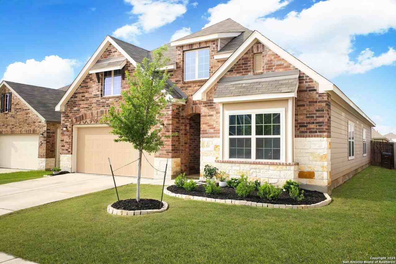 14416 Gecko - Photo 3 of 34