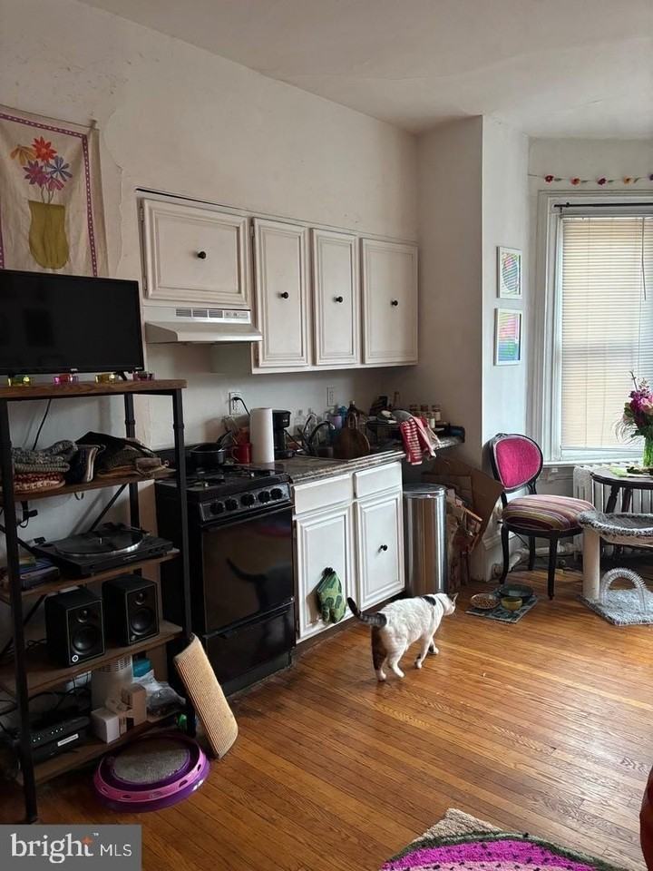 259 South 46th Street #2F - Photo 6 of 14