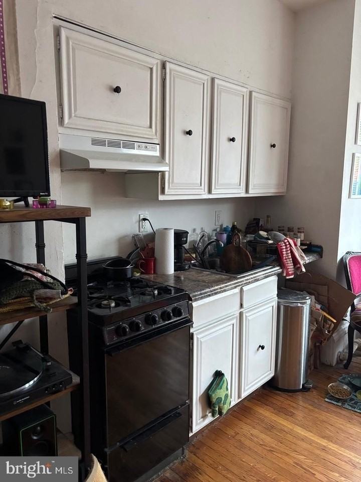 259 South 46th Street #2F - Photo 7 of 14