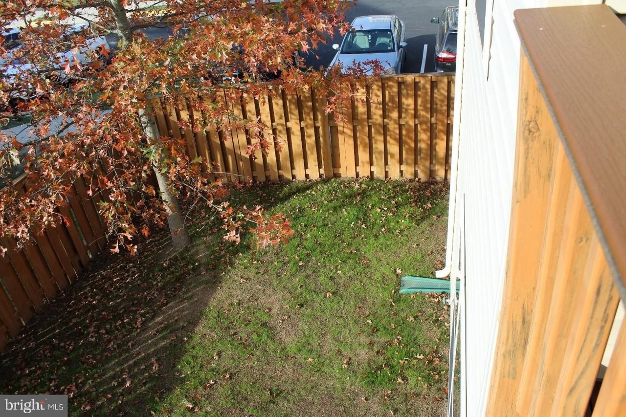 22167 Napier Terrace - Photo 6 of 7