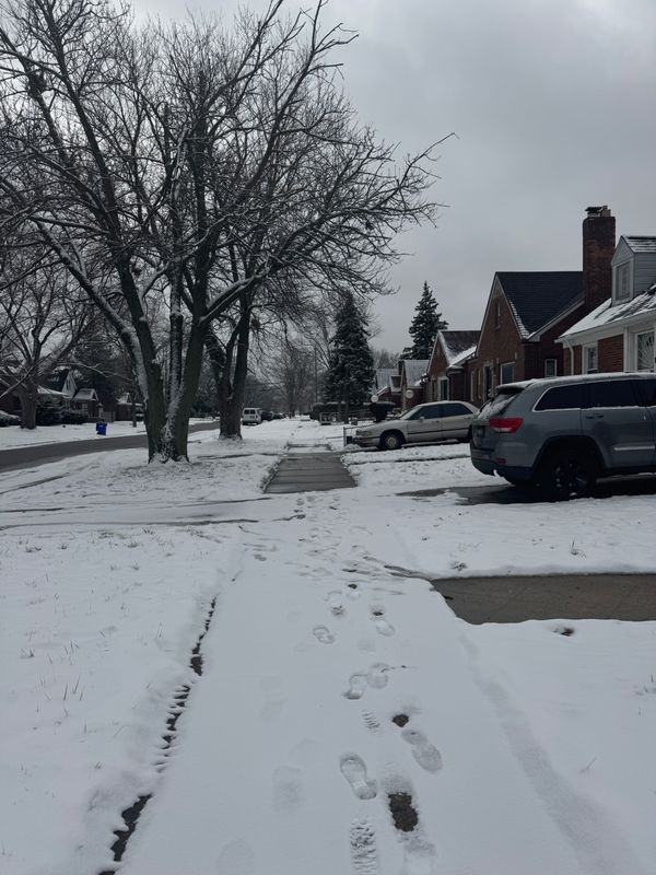 19361 Westphalia Street - Photo 3 of 4