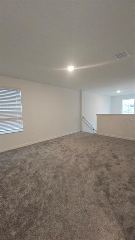 4253 Twisted Twig Boulevard #4253 - Photo 7 of 43