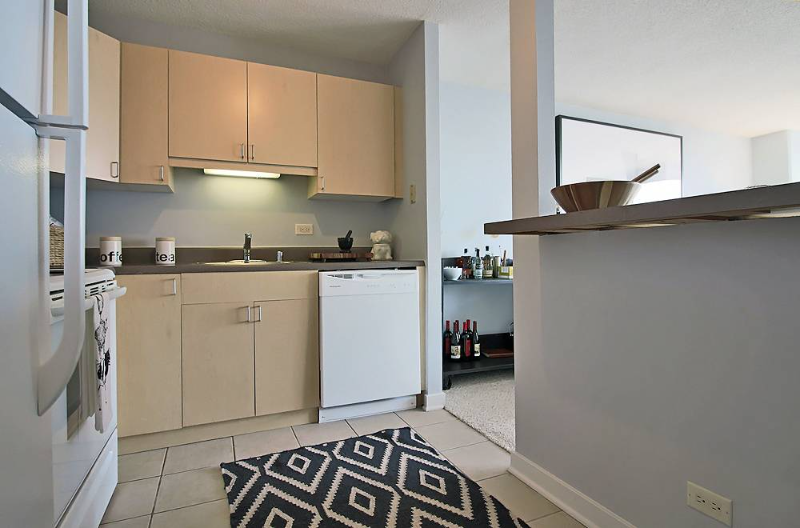 1228 S Michigan Ave - Photo 2 of 12