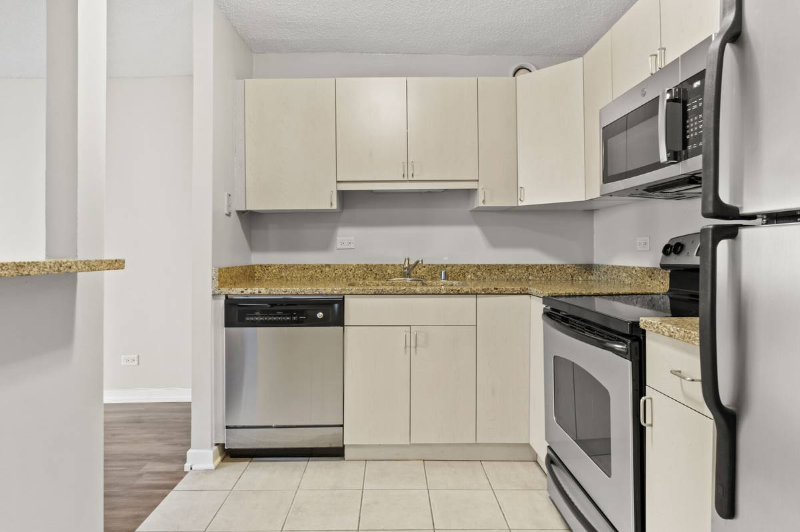 1228 S Michigan Ave - Photo 3 of 12