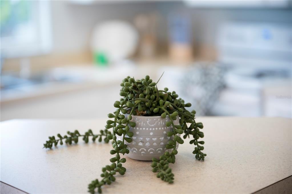 2960 Kokomo Loop #2960 - Photo 3 of 50