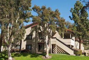 featured image of 264 Rancho Del Oro Drive