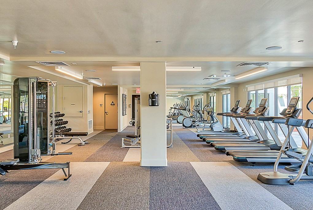 Silver - Photo 5 of 50