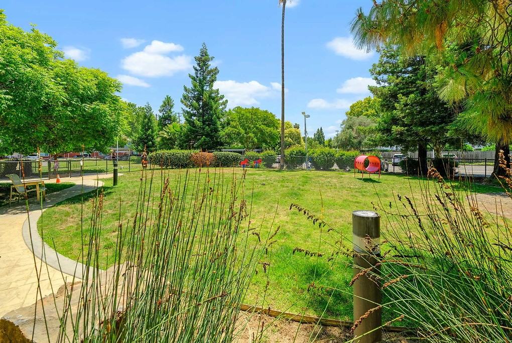 The Parc at Pruneyard - Photo 6 of 50