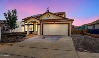 featured image of 409 Desert Chicory St