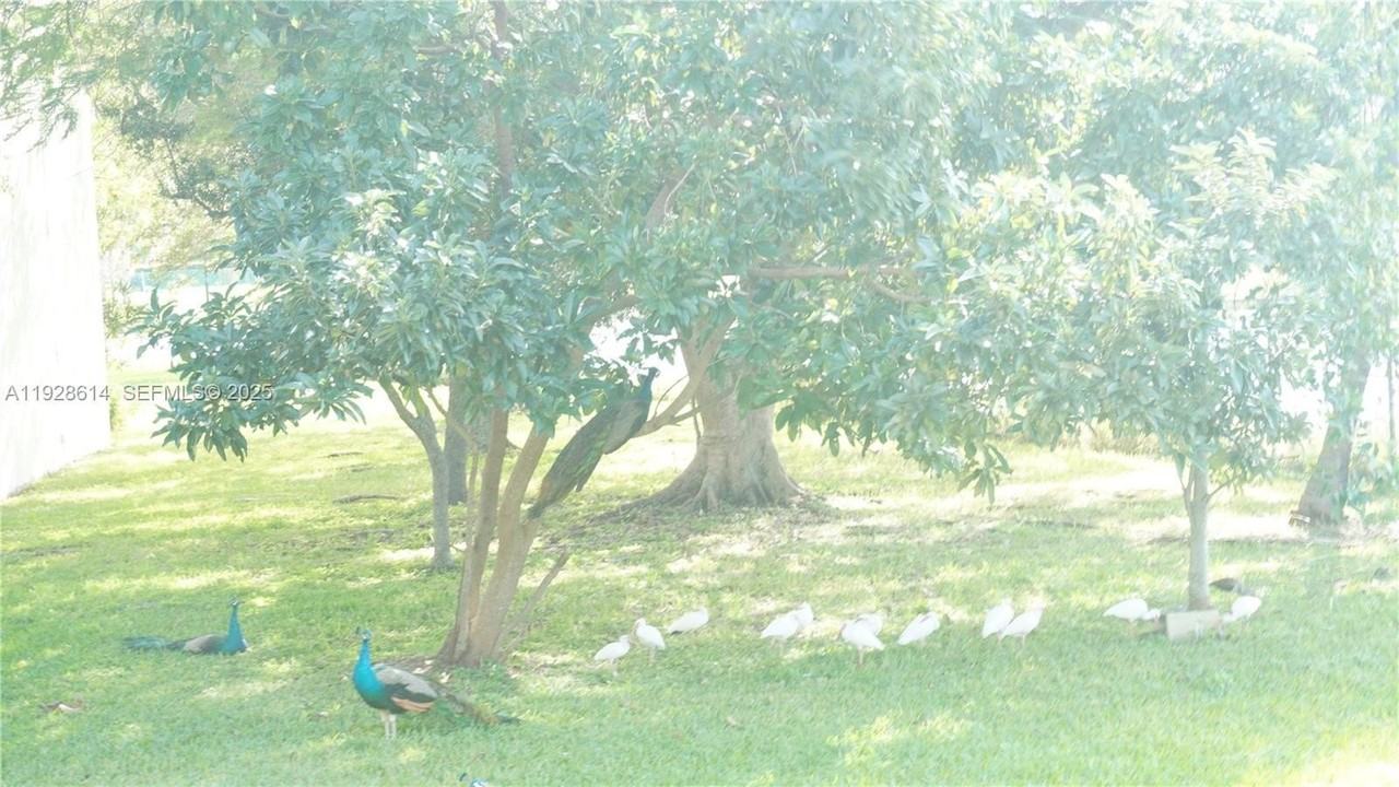 10370 Sw 220th St #227 - Photo 4 of 6