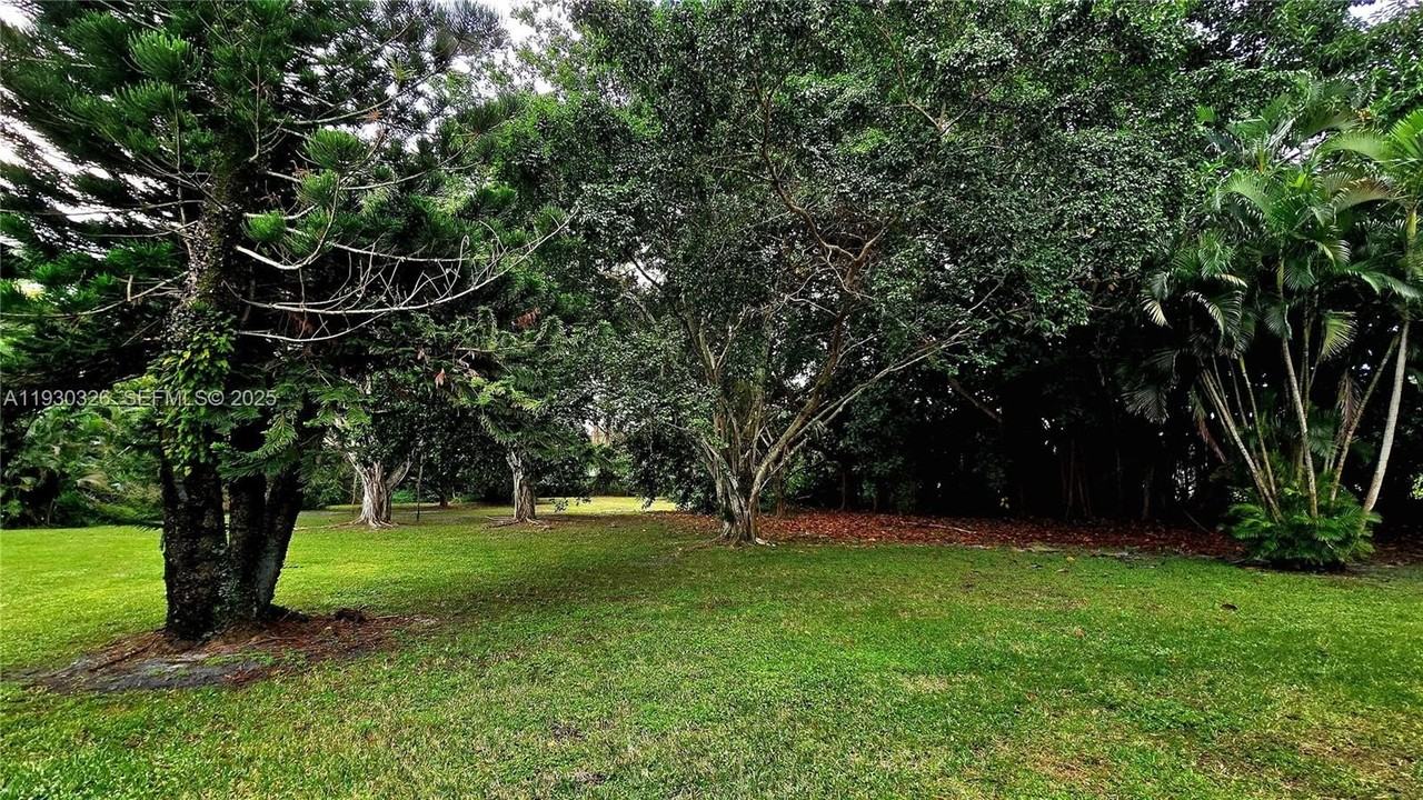 1910 Palmland Dr #2 - Photo 4 of 15