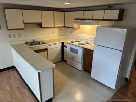 featured image of Willow Street #204