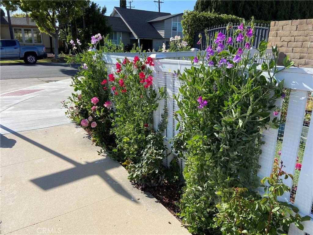 1429 East Albion Lane - Photo 2 of 34