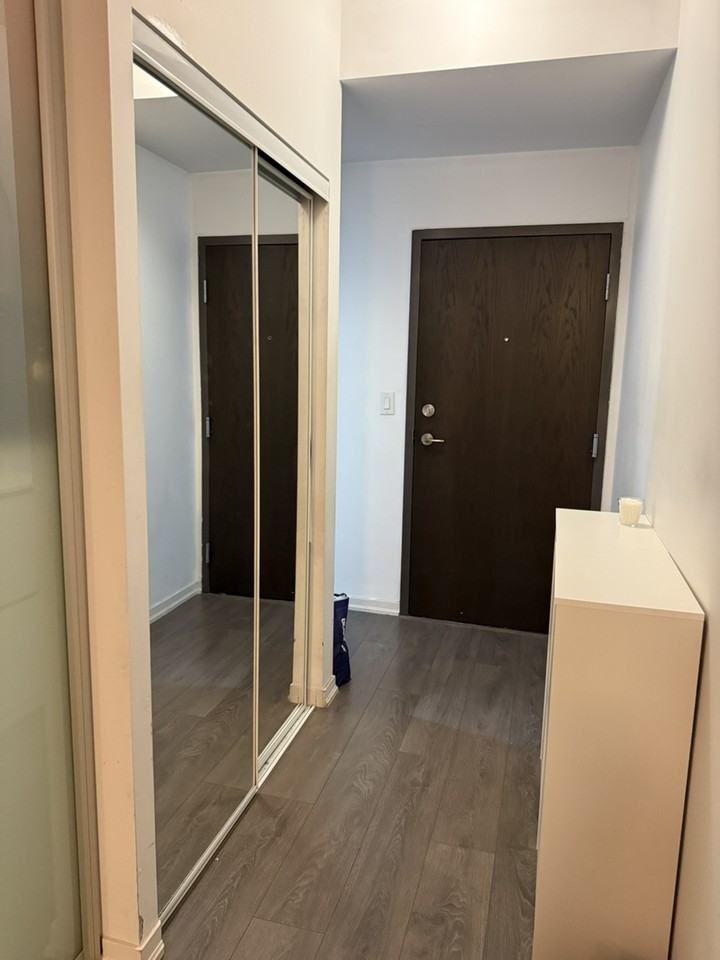 36 Lisgar St - Photo 5 of 19