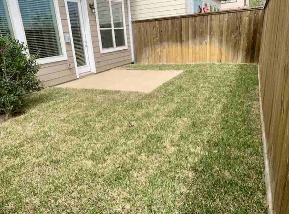 1804 Cavanal St #1804 - Photo 6 of 20