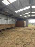 featured image of 8789 Texas Highway 78 #8789