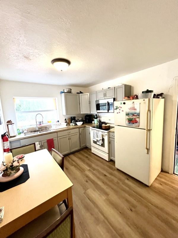 12116 Lamont Drive - Photo 6 of 10