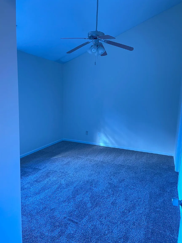 1610 Termini Drive - Photo 5 of 12