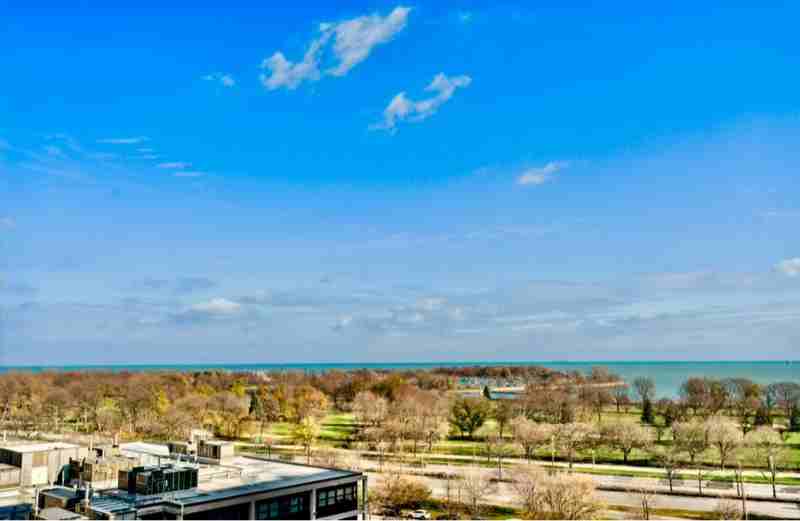 700 W Bittersweet Pl #1004 - Photo 6 of 16