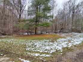 362 Ester Spur Road #2 - Photo 1 of 1