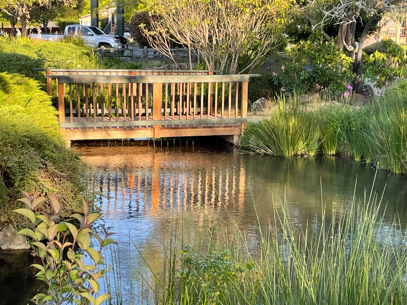 444 Whispering Pines Drive - Photo 2 of 12