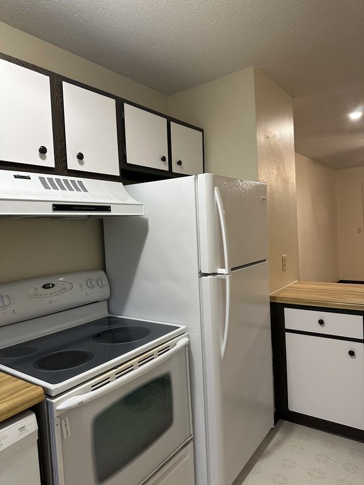 1121 Brooke Park Drive - Photo 6 of 18