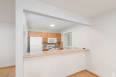 The Lusitano - Photo 1 of 1