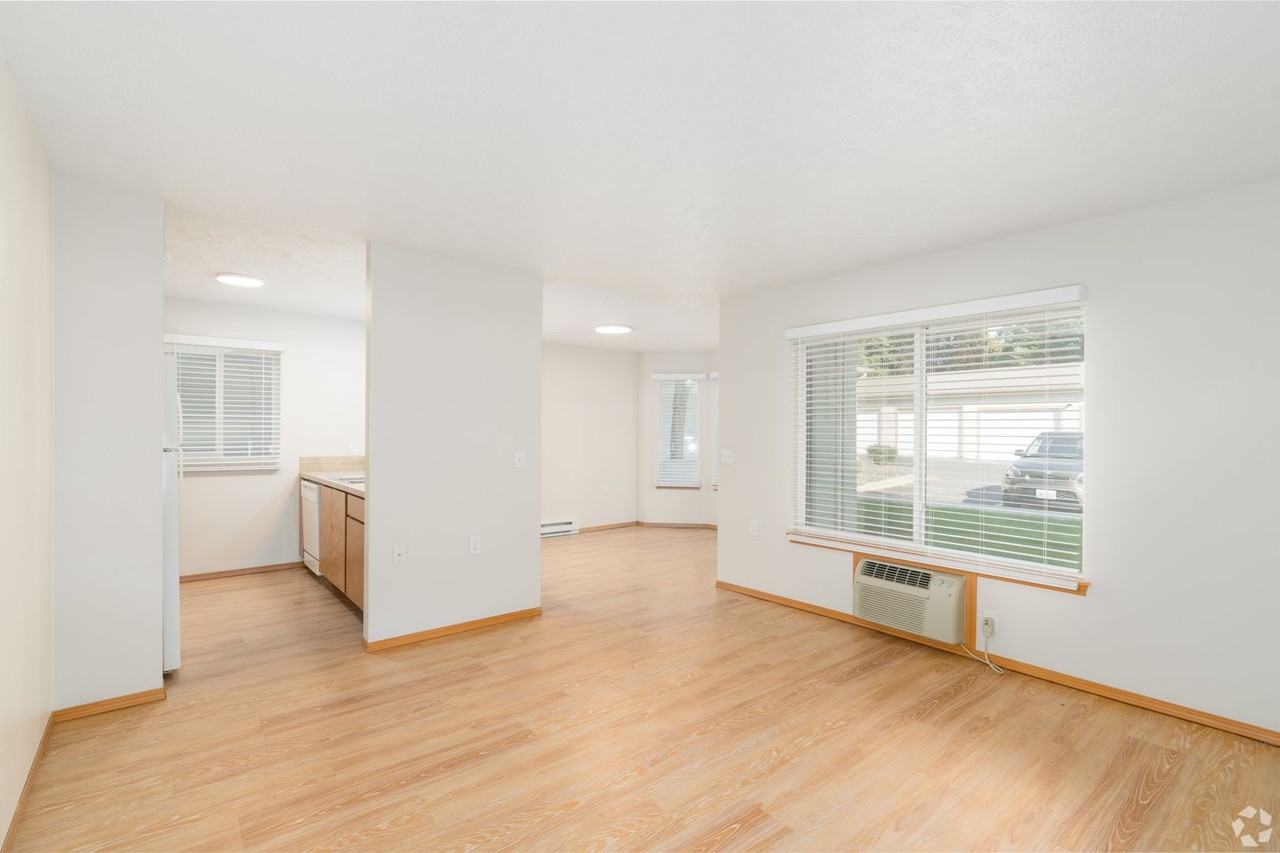 The Lusitano - Photo 2 of 44