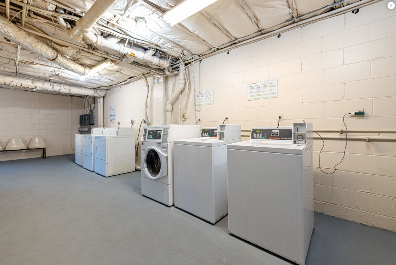 Dresden Forest | Close to Everything. Surrounded by Serenity. - Photo 3 of 37