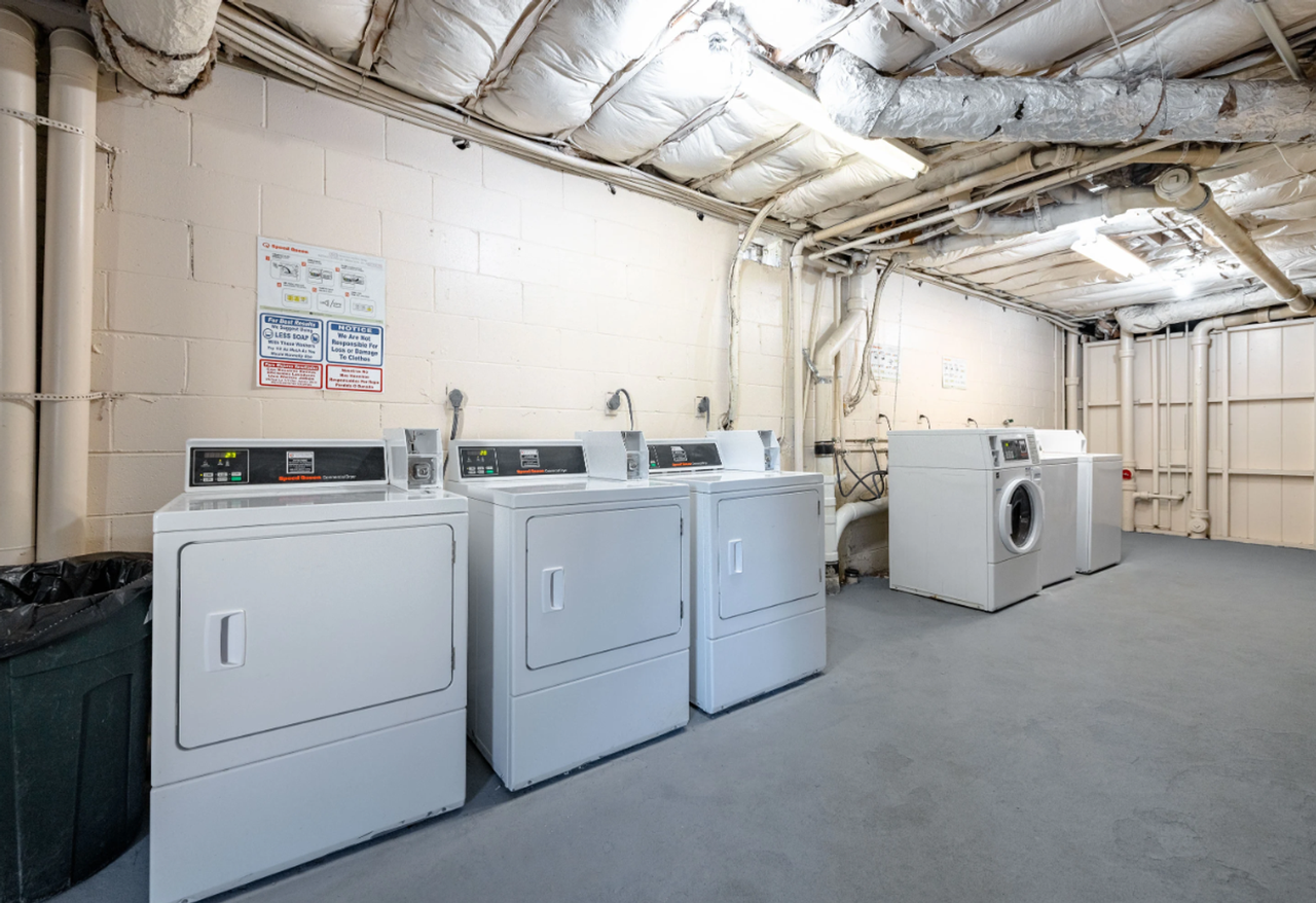 Dresden Forest | Close to Everything. Surrounded by Serenity. - Photo 4 of 37